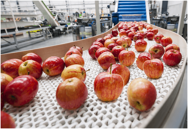 Understanding The Basics Of Fruit Waxing