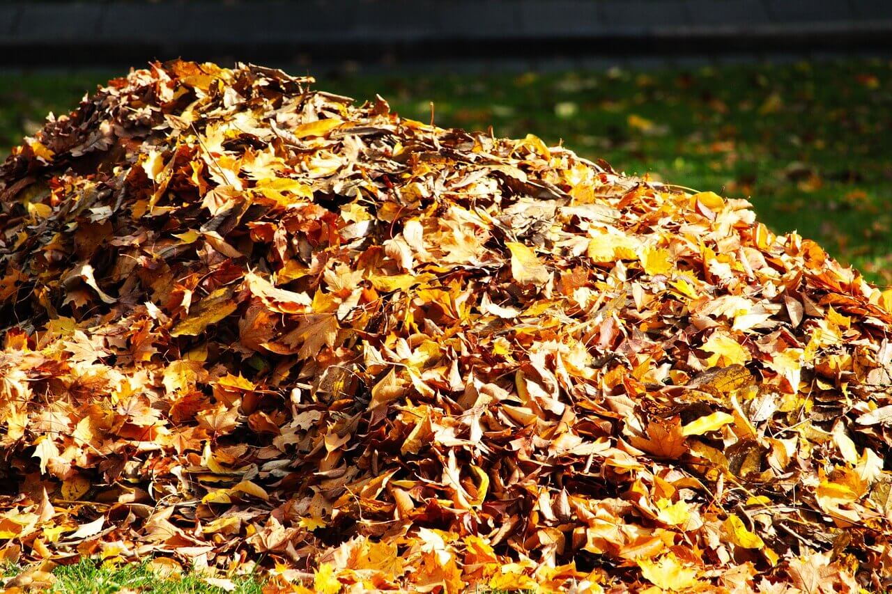 How to Choose the Right Leaf Blower