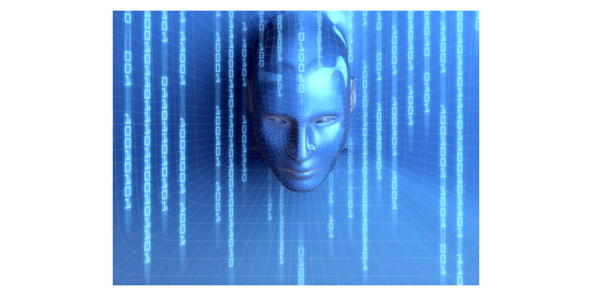 What is a Comprehensive Identity Kit?