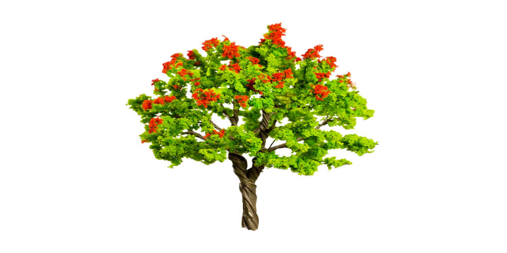 What Can you Use to Make Architecture Model Trees?